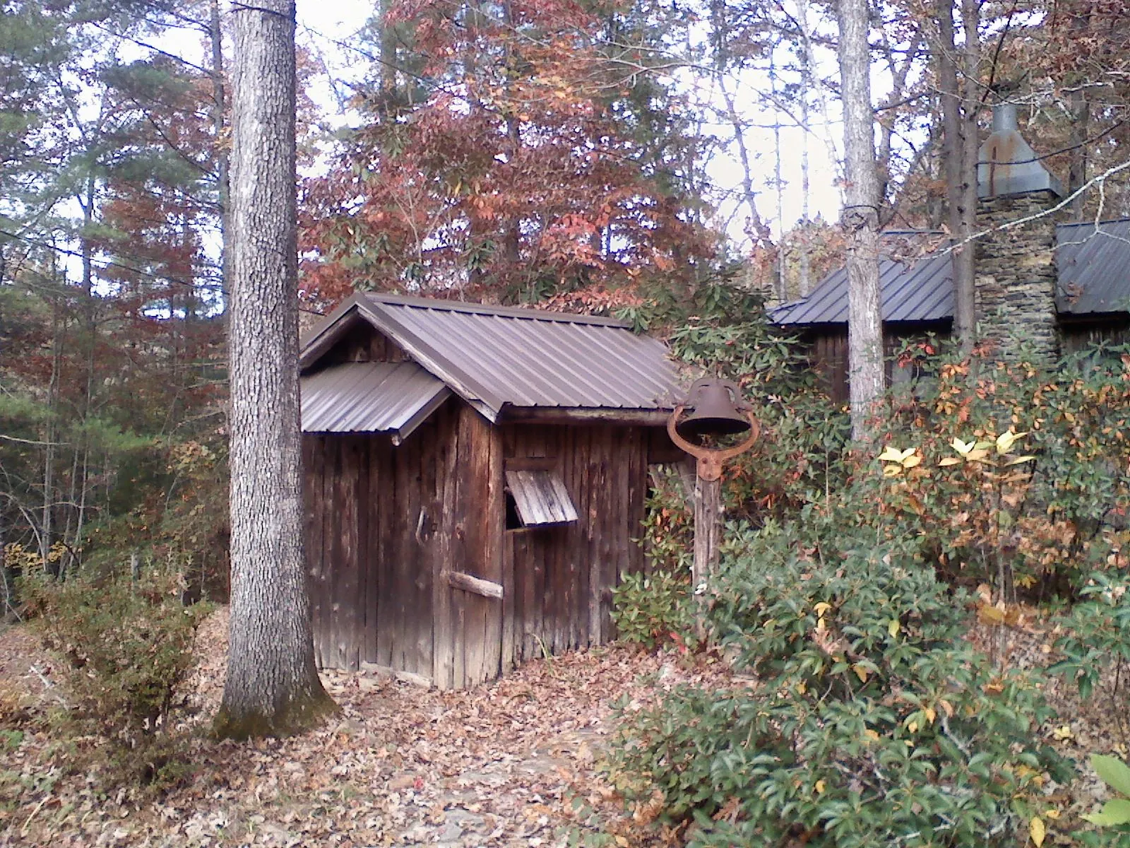 Small metal roof on a rough sawn shed in the woods in Amelia Court House